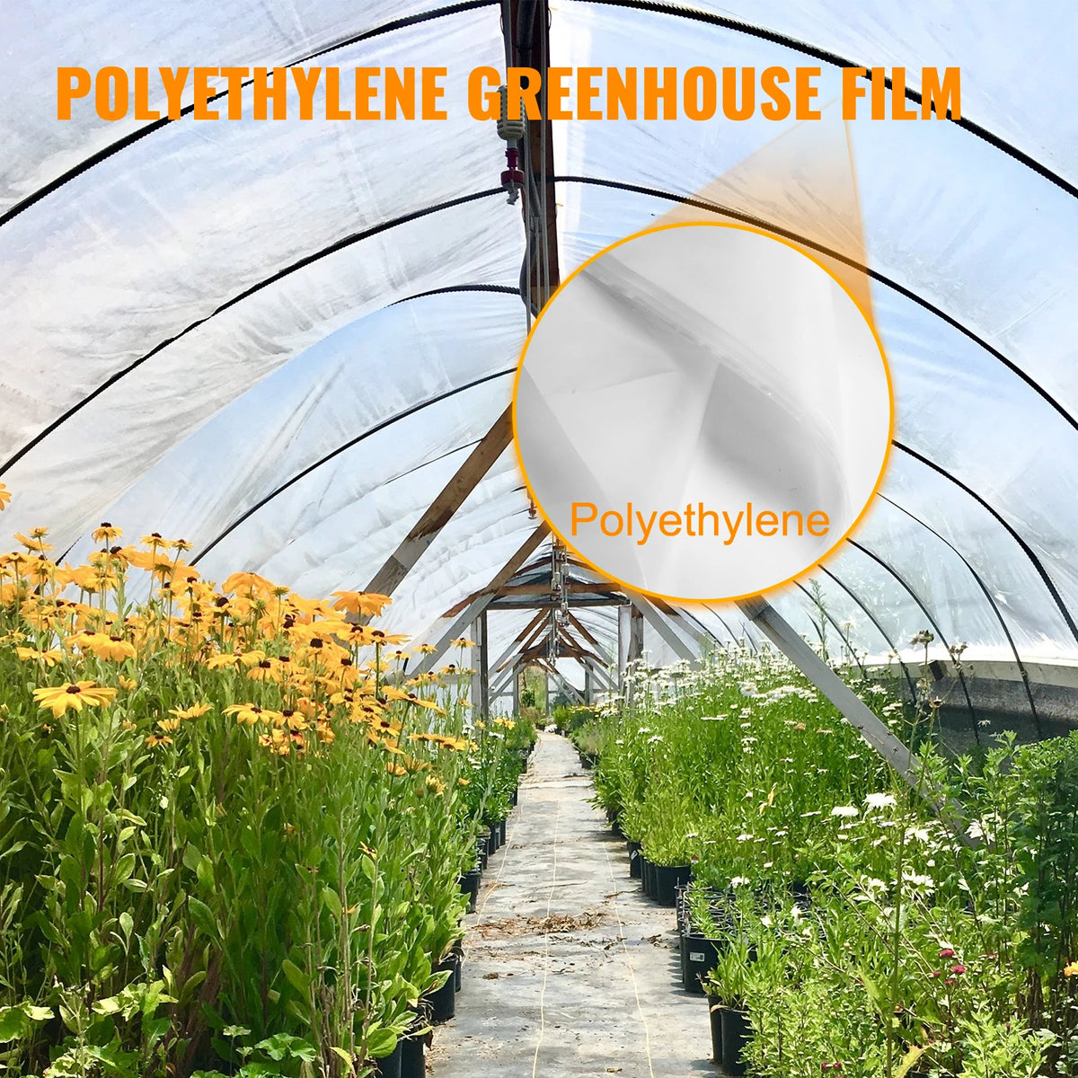 SucceBuy UV Resistant Polyethylene Agricultural Greenhouse Film For Plants
