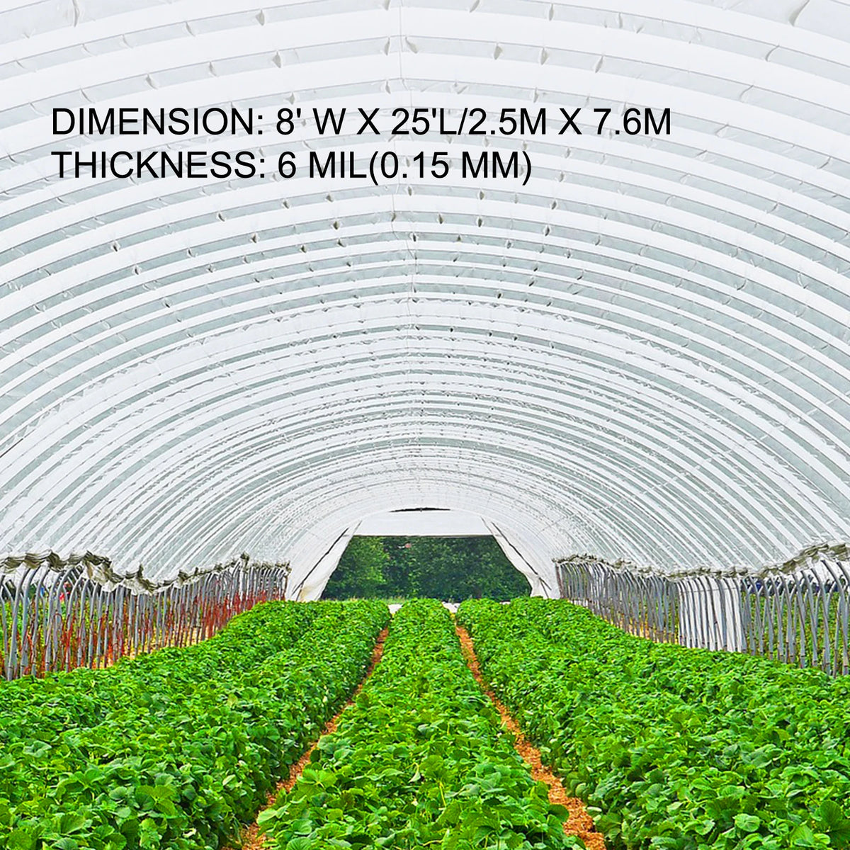 SucceBuy UV Resistant Polyethylene Agricultural Greenhouse Film For Plants