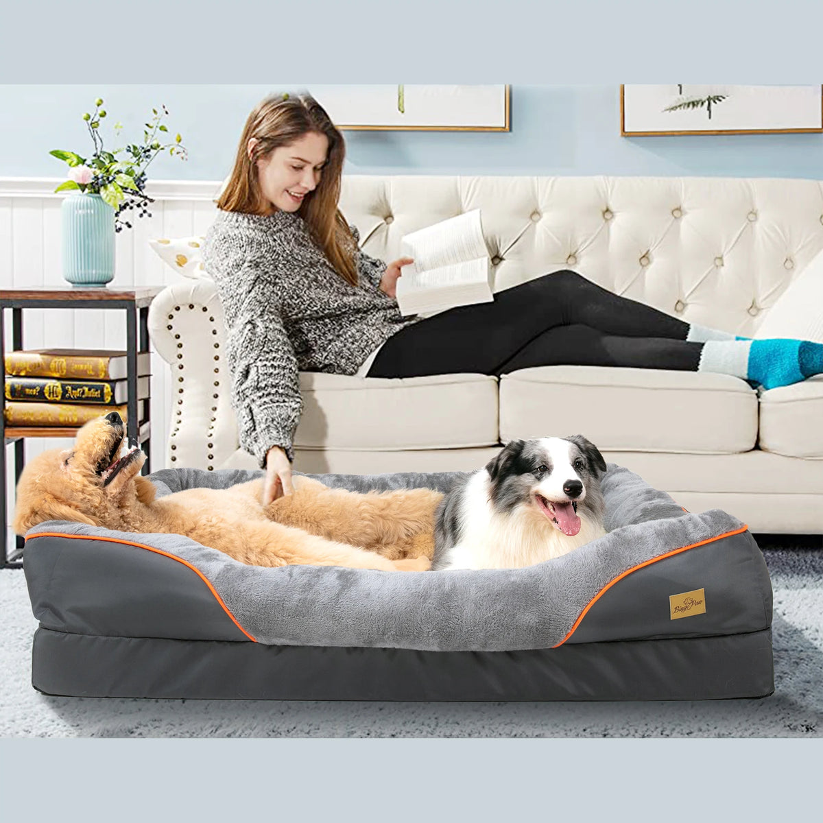 Bingopaw Anti Allergy Dog Bed Removable Washable Waterproof Fleece Cover