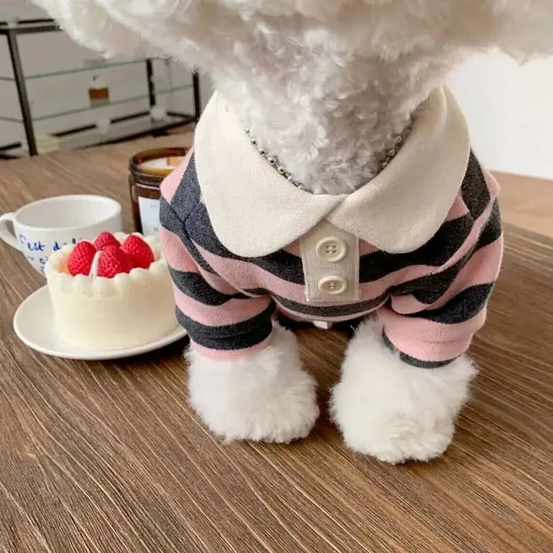 Stylish Summer Polo Shirt For Small Dogs