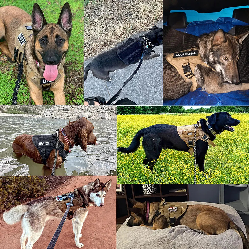 Large Dog Harness And Leash Set Training Vest