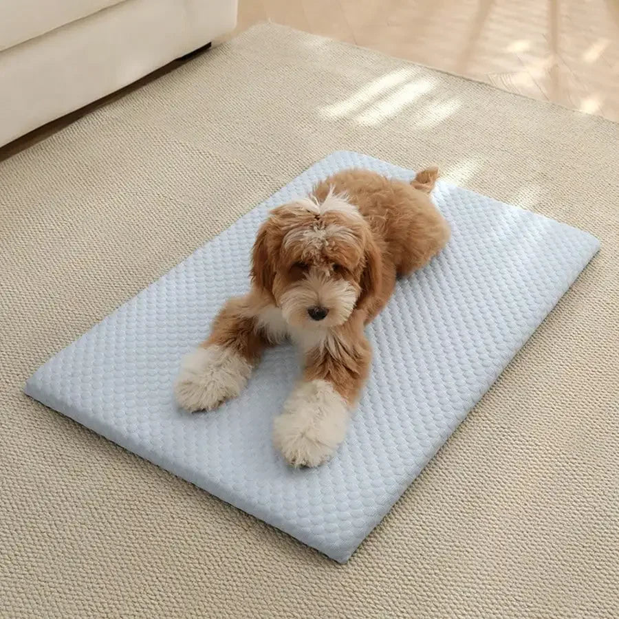 Sponge Cooling Cat Bed Thick Padding Breathable Nest