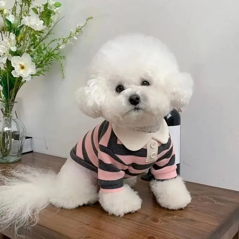 Stylish Summer Polo Shirt For Small Dogs