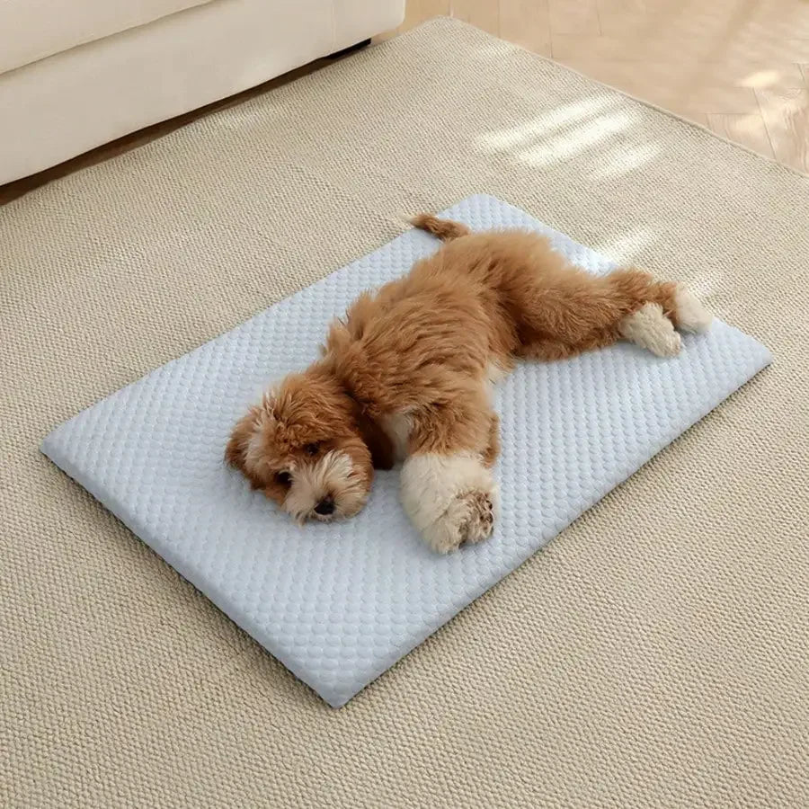Sponge Cooling Cat Bed Thick Padding Breathable Nest