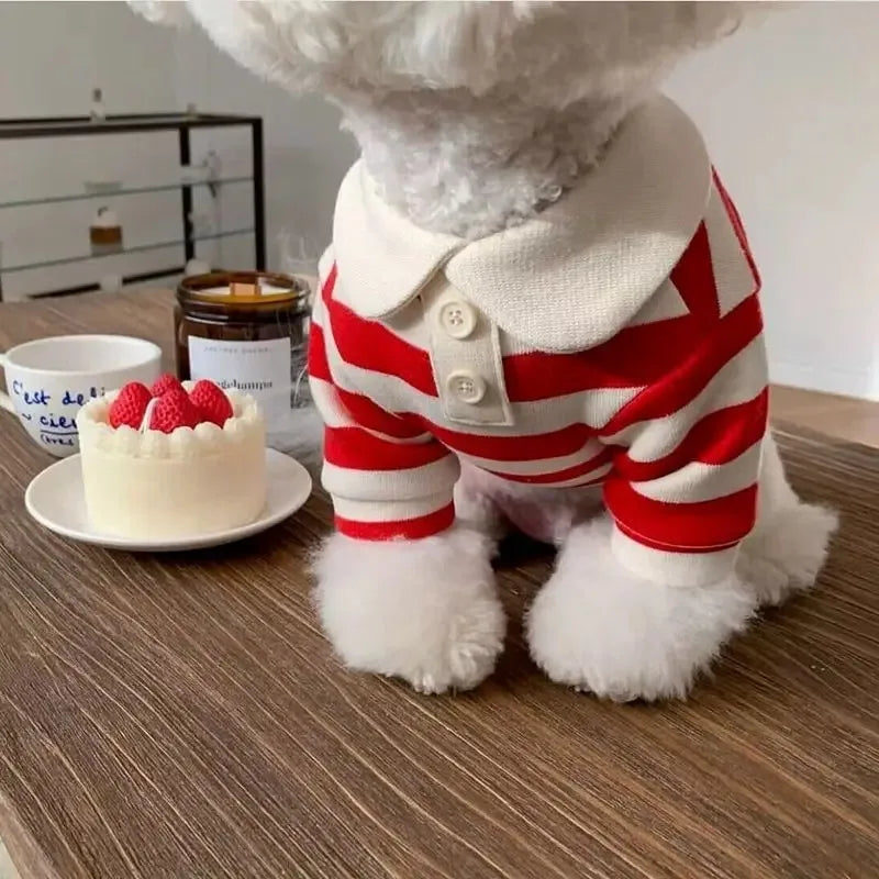 Stylish Summer Polo Shirt For Small Dogs