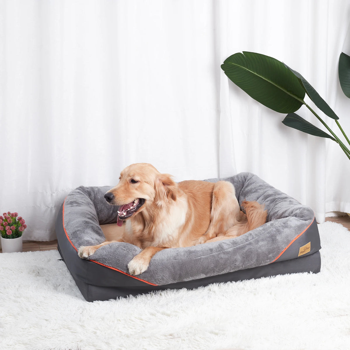 Bingopaw Anti Allergy Dog Bed Removable Washable Waterproof Fleece Cover