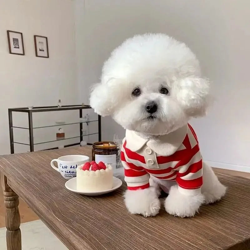 Stylish Summer Polo Shirt For Small Dogs
